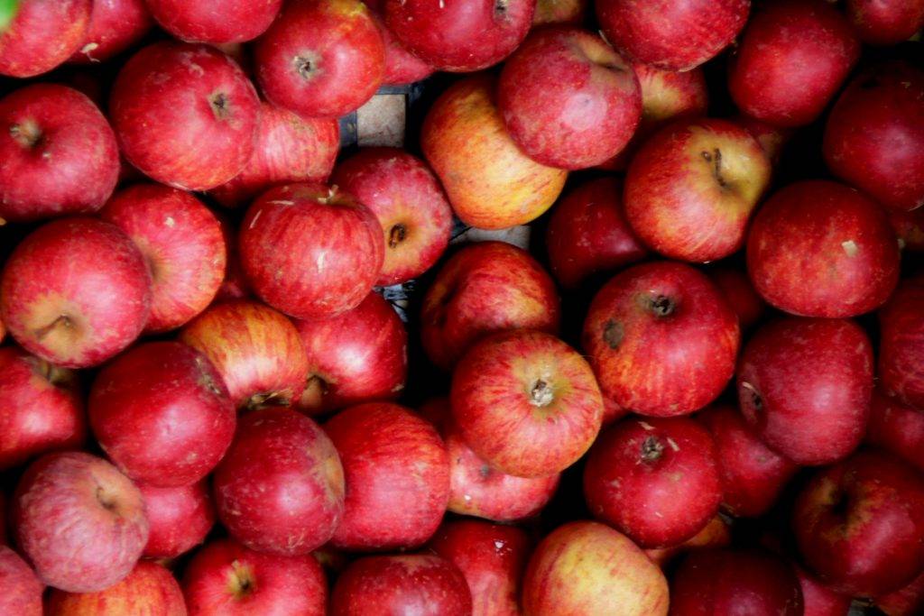 I benefici della mela Annurca campana
