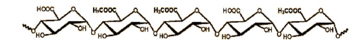 Struttura chimica di una pectina
