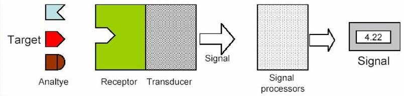 Rappresentazione schematica della struttura generica di un sensore.