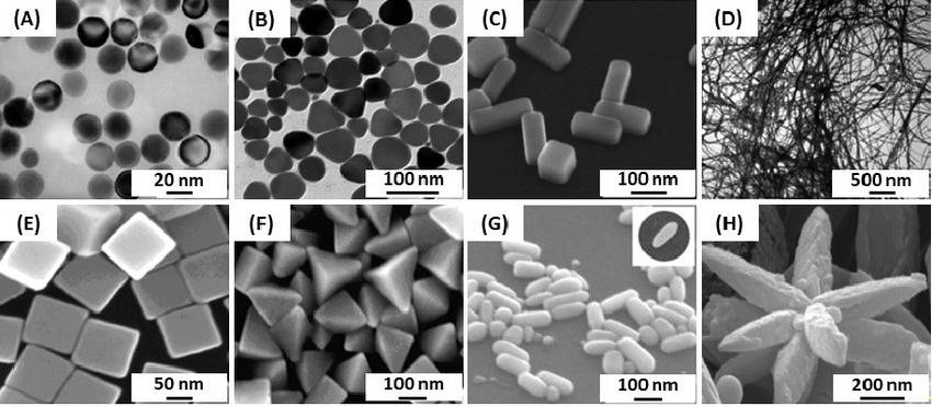 Diversità morfologica e dimensionale delle nanoparticelle di argento