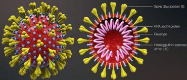 Coronavirus

