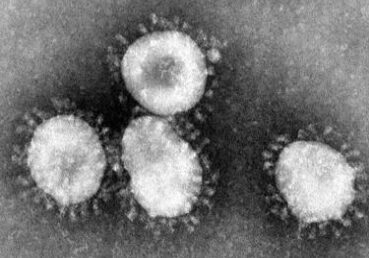 Coronavirus at TEM
