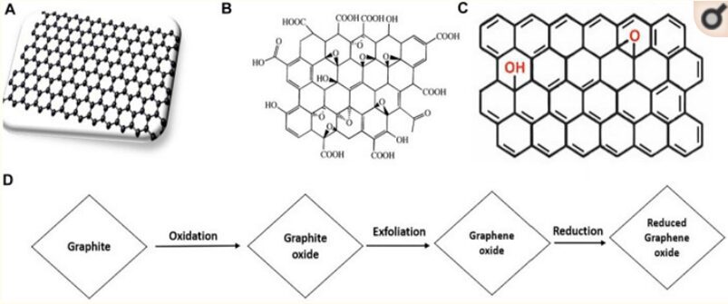 Struttura e sintesi dei nanomateriali derivati dalla Grafite, tra cui l'Ossido di Grafene Caratteristiche chimiche dei nanomateriali a base di carbonio derivati dalla Grafite, tra cui GO
