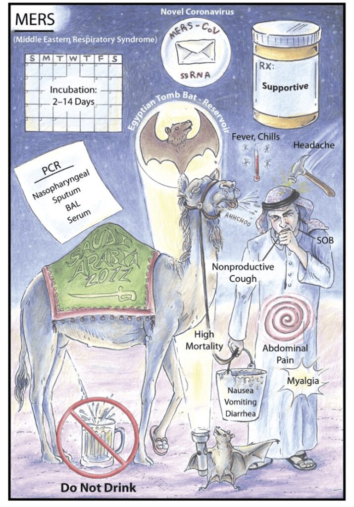 Infografica sulla MERS