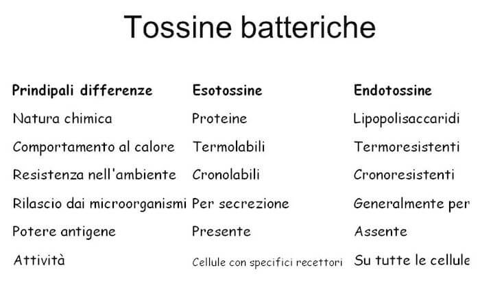 Principali differenze tra endo- ed esotossine