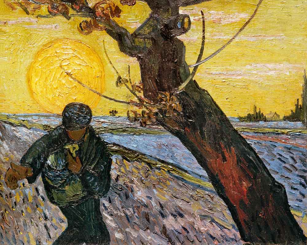 Gasseri: il sol dell'avvenire, sulla pelle. Lactobacillus, ceppo BNR17, contro il melanoma.