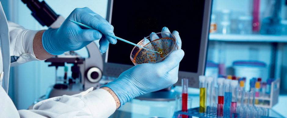 interpretazione risultati iso microbiologico