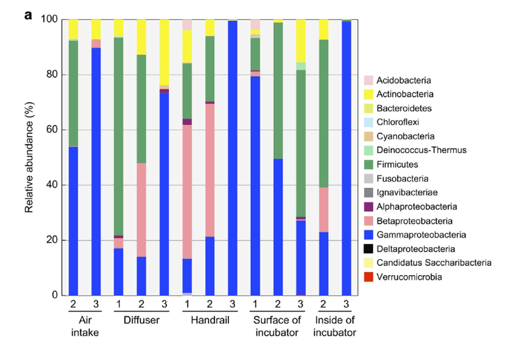 Grafico dei phyla batterici maggiormente rappresentati nel microbiota ambientale dell'ISS