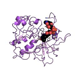 Figura 1 - Struttura della nitroreduttasi. Fonte: https://www.chemwhat.it/