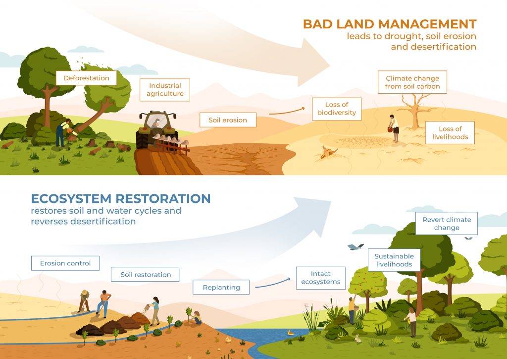  Ecosystem restoration infographics