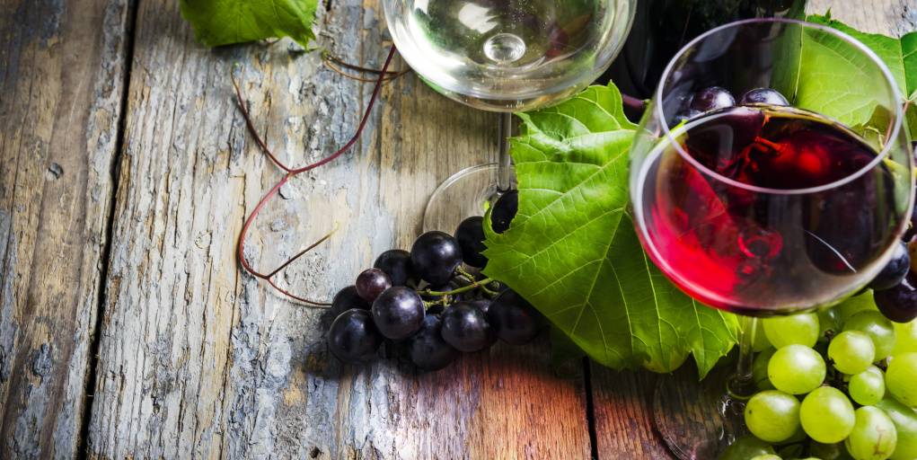 Figura 4 - Resveratrolo, vino e paradosso francese