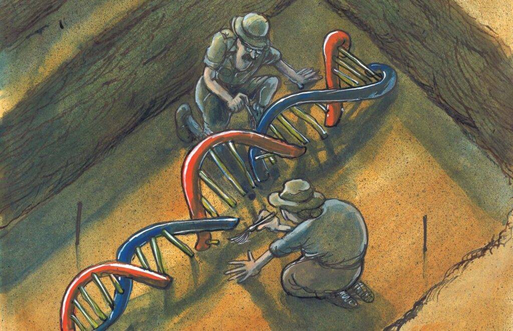 Illustrazione immaginaria di processi di ricerca archeologica-biologica, inclusa la mummificazione Archeologia