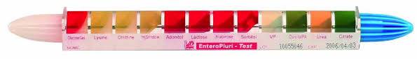 Figura 1 Enterotube [www.liofilchem.com]
