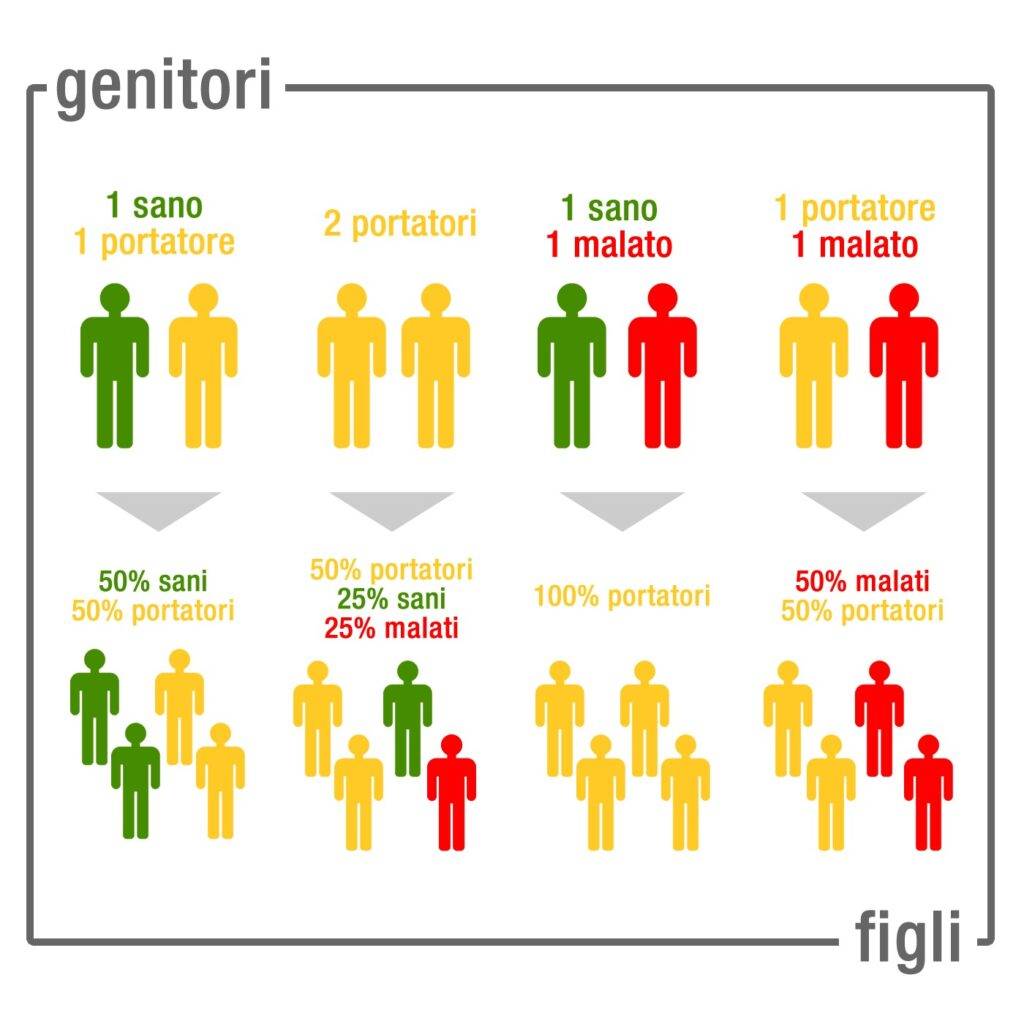 quattro possibili casi di trasmissione della beta-talassemia a seconda che i genitori siano sani, portatori sani eterozigoti o malati.