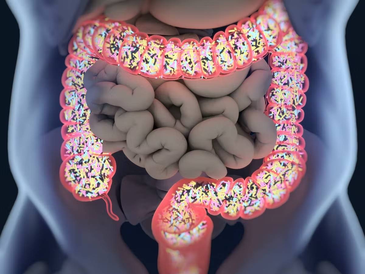 microbiota intestinale
