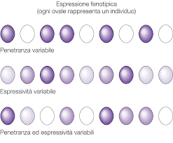 rappresentazione schematica della penetranza incompleta e dell'espressività variabile. - eccezioni alle leggi di Mendel