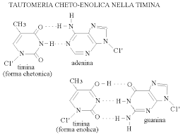 mutazioni spontanee: tautomeria cheto enolica della timina