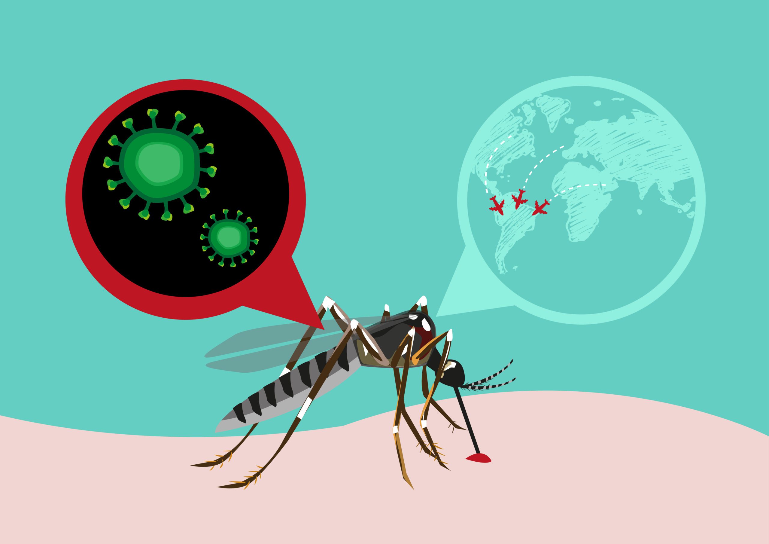 La febbre Zika è causata dall'infezione del virus Zika