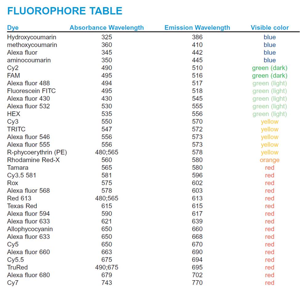 Lista dei più comuni fluorofori usati nel protocollo di fluorescenza