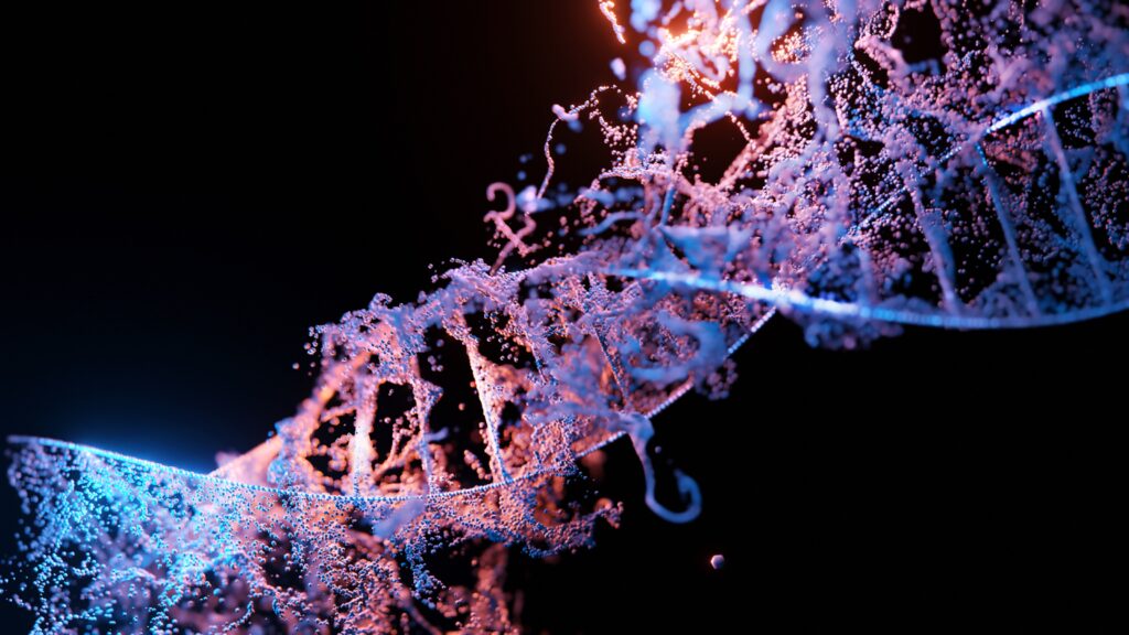 Trascrizione e regolazione genica in eucarioti consentono di sintetizzare RNA maturi a partire da DNA