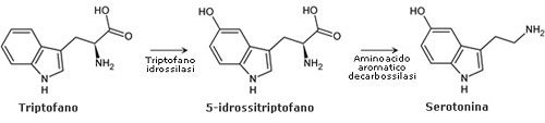 Sintesi della serotonina