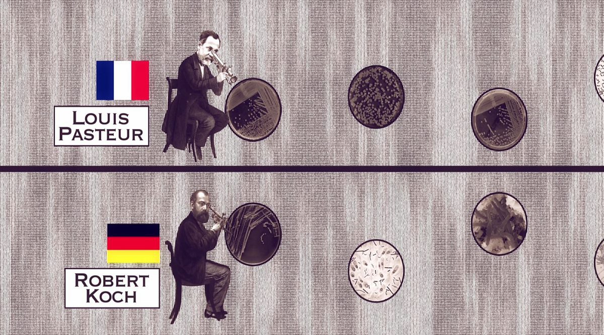Koch vs Pasteur: la guerra dei batteri