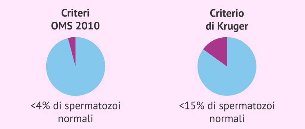 Secondo i criteri dell'OMS, un uomo può considerarsi fertile se possiede almeno il 4% degli spermatozoi sani. I criteri di Kruger, invece, sono più severi e dicono che un uomo è fertile se almeno il 15% dei suoi spermatozoi ha una morfologia normale.