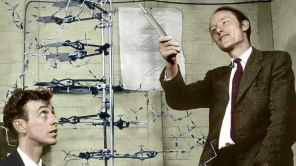 Figura 1 - James Watson e Francis Crick alle prese con gli studi che portarono alla scoperta del DNA