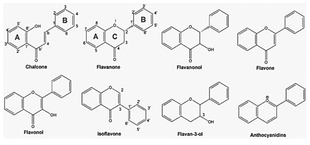 Classificazione chimica dei flavonoidi