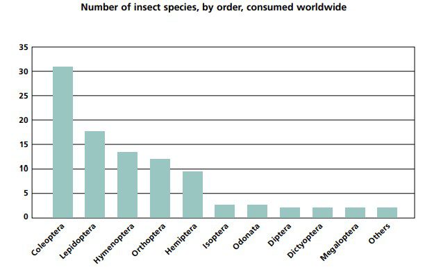 Numero di specie di insetti, per ordine, consumate nel mondo [Fonte: Jongema, 2012]