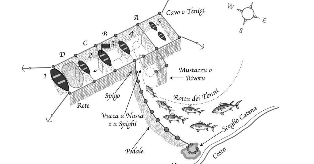 Il sistema della tonnara fissa, ovvero un insieme di reti usate per la cattura del tonno rosso
