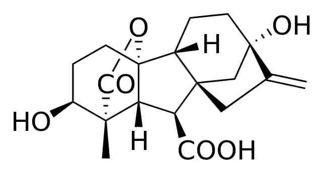 struttura chimica gibberelline