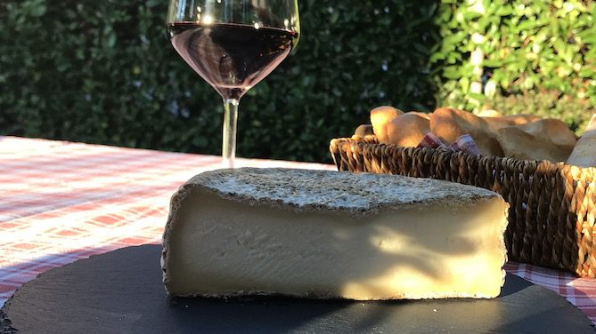 Formaggio a crosta lavata dalla Val d'Orcia [Fonte: https://www.ruminantia.it/formaggi-a-crosta-lavata-dalla-val-dorcia-linaspettato-da-latte-crudo-di-pecora-di-podere-il-casale/]