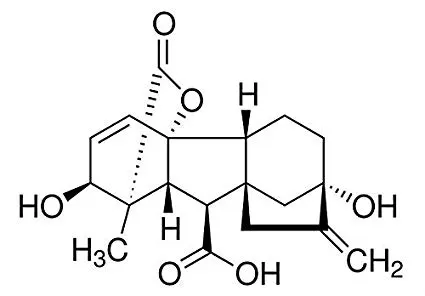 acido gibberellico