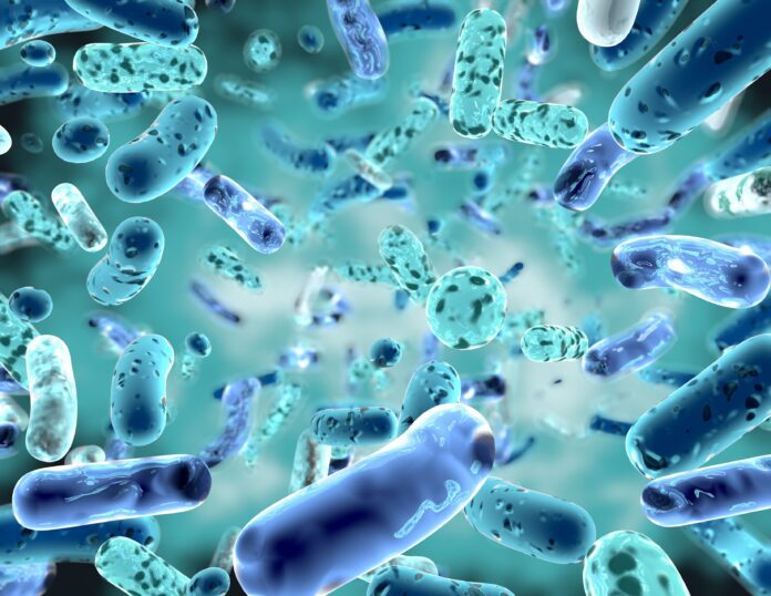 Quali sono le differenze sostanziali tra batteri e parassiti? ecco alcune informazioni per conoscere meglio questo organismi biologici.