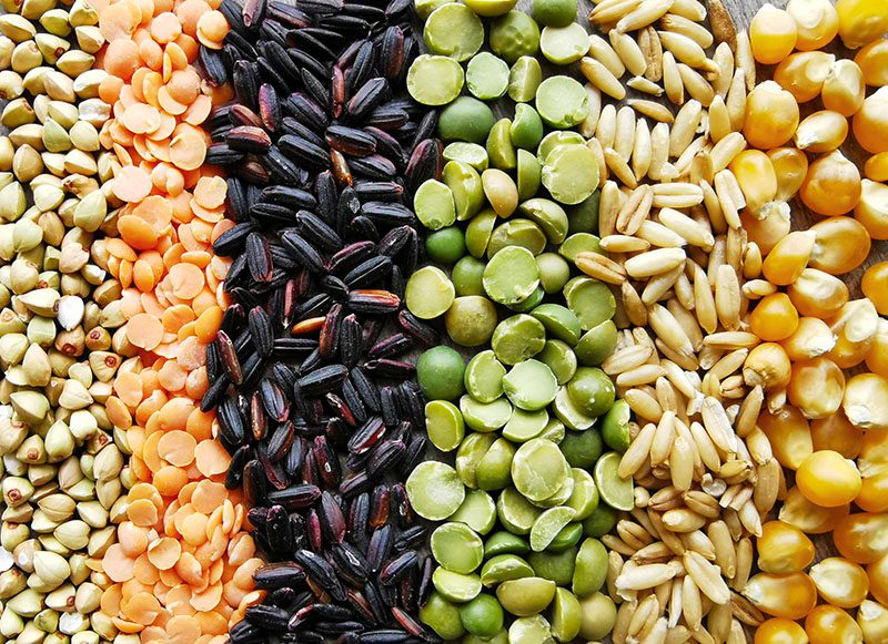 Cereali e legumi sono un'ottima fonte di vitamina B1