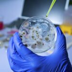 La malattia più letale del mondo