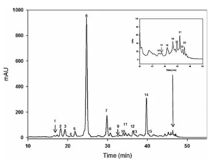 Tipici cromatogrammi carotenoidi HPLC -DAD (mostrati a 450 nm) ottenuti alla prima fase di maturazione del mango Keitt. Il tentativo di identificazione dei picchi cromatografici è stato effettuato come indicato nella figura 5.