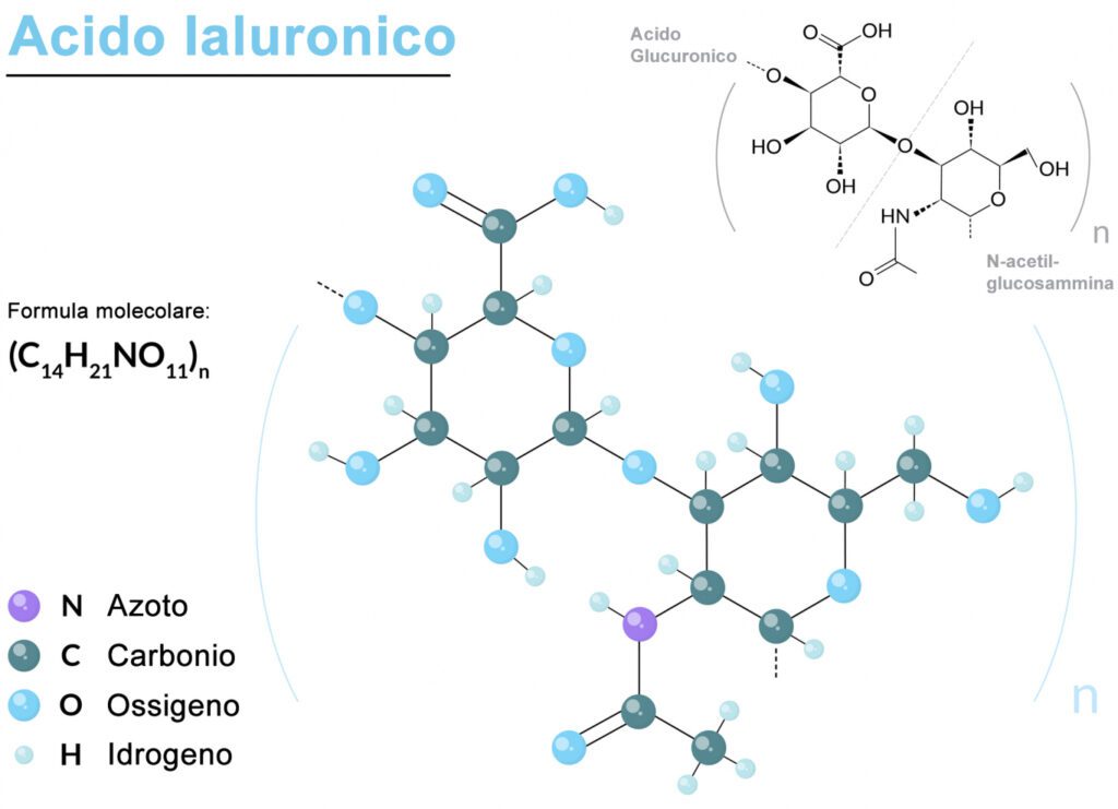 Struttura chimica dell'acido ialuronico per la pelle del viso