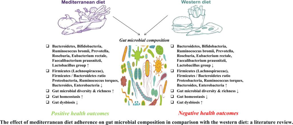 Come la dieta Mediterranea e Western diet modificano il microbiota