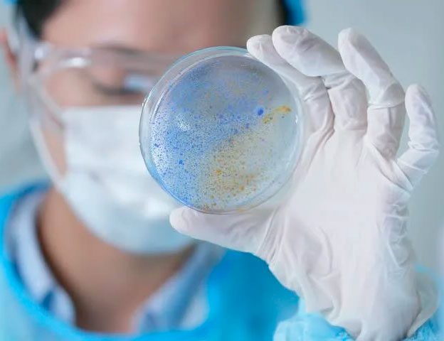 Il significato della biologia e il lavoro del biologo
