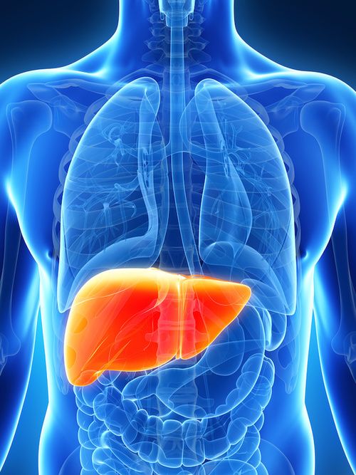 Keep your liver healthy