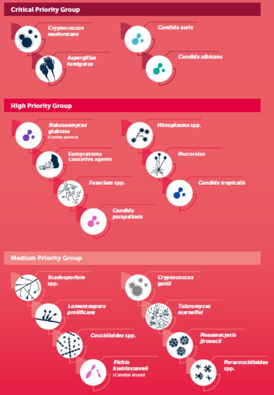 Lista di patogeni fungini prioritari, per guidare la ricerca, lo sviluppo e le azioni di sanità pubblica