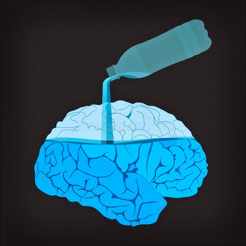 Cervello e Idratazione