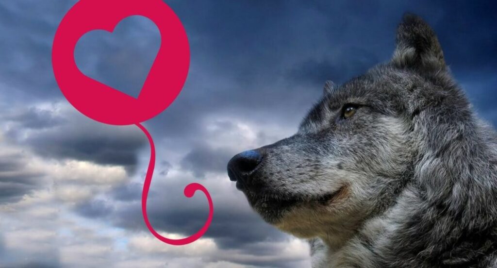 Prevenire le malattie cardiache nei cani