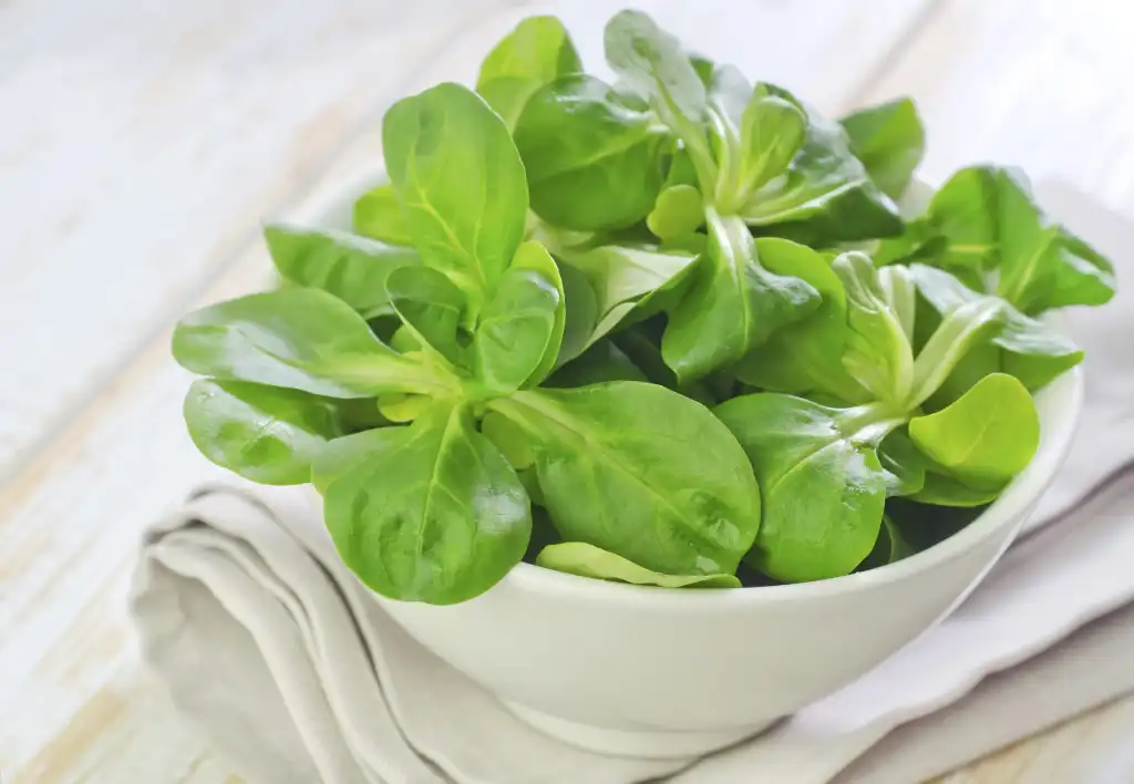 Valeriana benefici per la salute