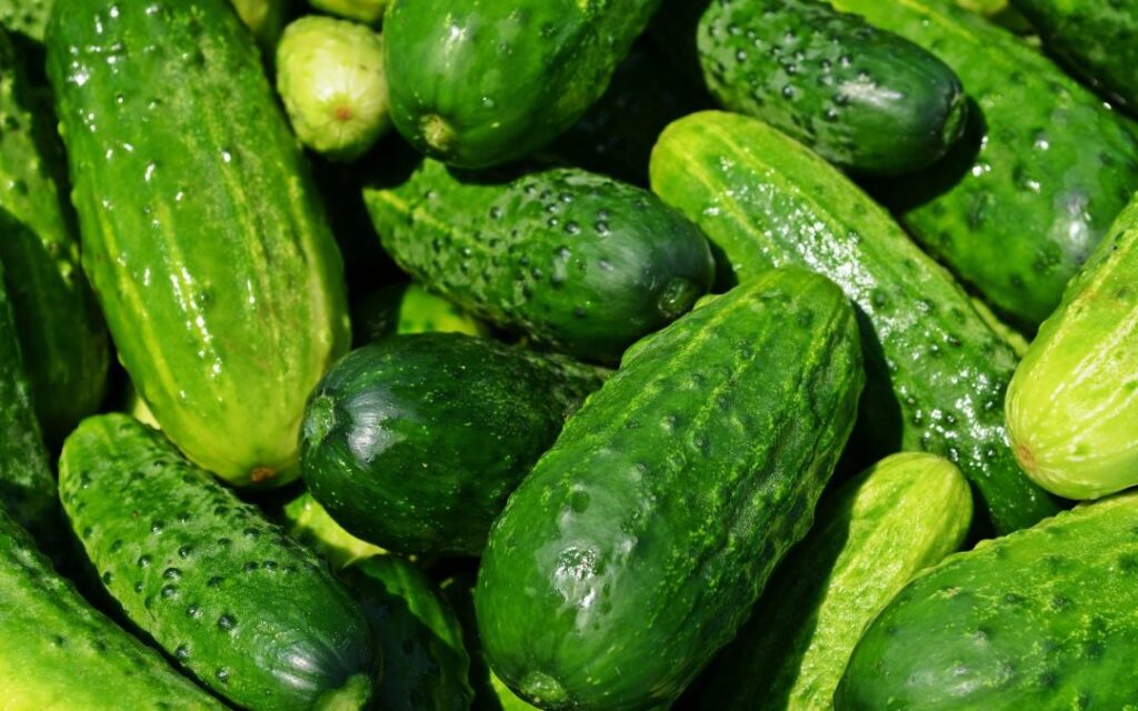Cetrioli e Benessere
