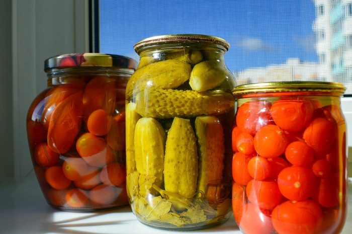 Conservanti Alimentari e Flora Intestinale