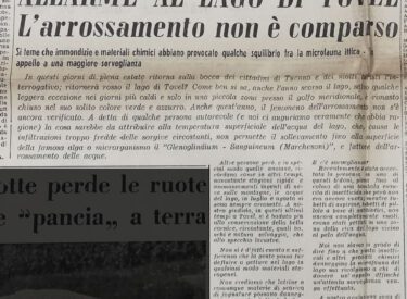 Il mancato arrossamento del Lago di Tovel è notizia