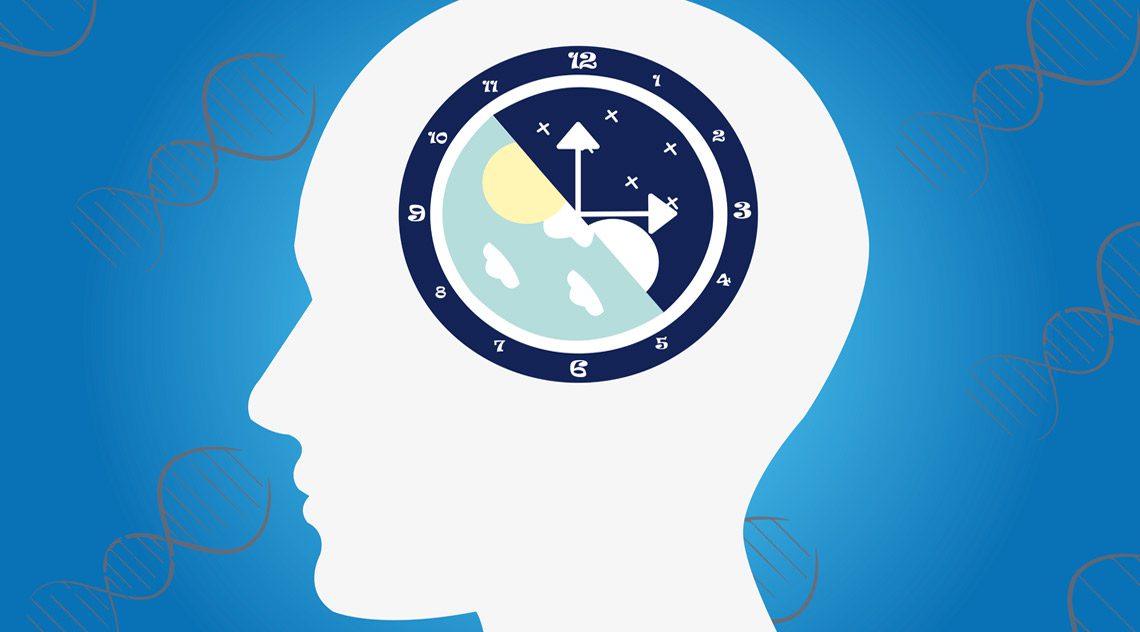 ritmi circadiani - orologio biologico